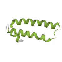 The deposited structure of PDB entry 6i7v contains 2 copies of Pfam domain PF00831 (Ribosomal L29 protein) in Large ribosomal subunit protein uL29. Showing 1 copy in chain QB [auth CZ].