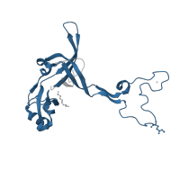 The deposited structure of PDB entry 6i7v contains 1 copy of Pfam domain PF00297 (Ribosomal protein L3) in Large ribosomal subunit protein uL3. Showing 1 copy in chain YB [auth DD].