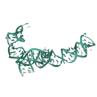 The deposited structure of PDB entry 6i7v contains 2 copies of Rfam domain RF00001 (5S ribosomal RNA) in 5S ribosomal RNA. Showing 1 copy in chain E [auth DB].