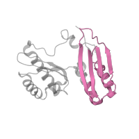 The deposited structure of PDB entry 6i7v contains 2 copies of Pfam domain PF00189 (Ribosomal protein S3, C-terminal domain) in Small ribosomal subunit protein uS3. Showing 1 copy in chain H [auth AC].