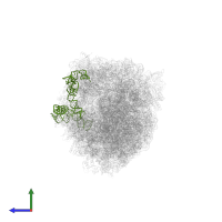 5S ribosomal RNA in PDB entry 6i7v, assembly 1, side view.