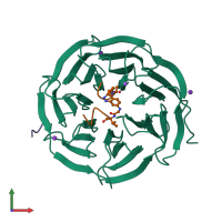 PDB entry 6iam coloured by chain, front view.