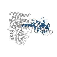 The deposited structure of PDB entry 6icv contains 2 copies of Pfam domain PF09273 (Rubisco LSMT substrate-binding) in Actin-histidine N-methyltransferase. Showing 1 copy in chain A.