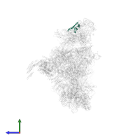 Protein mago nashi homolog 2 in PDB entry 6icz, assembly 1, side view.