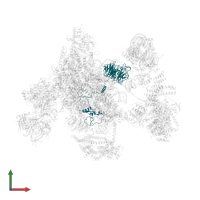 Pre-mRNA-processing factor 17 in PDB entry 6id0, assembly 1, front view.