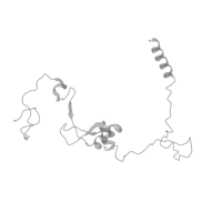 The deposited structure of PDB entry 6id1 contains 5 copies of Pfam domain PF00400 (WD domain, G-beta repeat) in Pre-mRNA-processing factor 17. Showing 5 copies in chain O [auth W] (this domain is out of the observed residue ranges!).