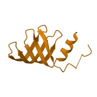 The deposited structure of PDB entry 6id1 contains 2 copies of CATH domain 2.30.30.100 (SH3 type barrels.) in Small nuclear ribonucleoprotein Sm D3. Showing 1 copy in chain S [auth a].