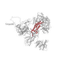 The deposited structure of PDB entry 6id1 contains 1 copy of Pfam domain PF10597 (U5-snRNA binding site 2 of PrP8) in Pre-mRNA-processing-splicing factor 8. Showing 1 copy in chain A.