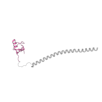 The deposited structure of PDB entry 6id1 contains 4 copies of Pfam domain PF04564 (U-box domain) in Pre-mRNA-processing factor 19. Showing 1 copy in chain Z [auth q].