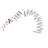 The deposited structure of PDB entry 6id1 contains 2 copies of Pfam domain PF13181 (Tetratricopeptide repeat) in Pre-mRNA-splicing factor SYF1. Showing 2 copies in chain EA [auth I].