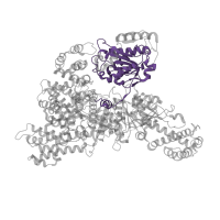 The deposited structure of PDB entry 6id1 contains 1 copy of Pfam domain PF13087 (AAA domain) in RNA helicase aquarius. Showing 1 copy in chain FA [auth Q].