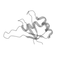 The deposited structure of PDB entry 6id1 contains 1 copy of Pfam domain PF00160 (Cyclophilin type peptidyl-prolyl cis-trans isomerase/CLD) in Peptidyl-prolyl cis-trans isomerase E. Showing 1 copy in chain GA [auth y] (this domain is out of the observed residue ranges!).