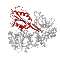 The deposited structure of PDB entry 6id1 contains 1 copy of Pfam domain PF00271 (Helicase conserved C-terminal domain) in ATP-dependent RNA helicase DHX15. Showing 1 copy in chain QA [auth V].