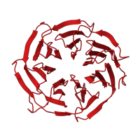 The deposited structure of PDB entry 6id1 contains 1 copy of CATH domain 2.130.10.10 (Methylamine Dehydrogenase; Chain H) in U5 small nuclear ribonucleoprotein 40 kDa protein. Showing 1 copy in chain D [auth E].