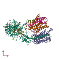 Hetero pentameric assembly 1 of PDB entry 6idf coloured by chemically distinct molecules, front view.