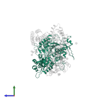 Nicastrin in PDB entry 6idf, assembly 1, side view.