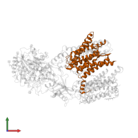 Presenilin-1 in PDB entry 6idf, assembly 1, front view.