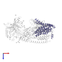 Gamma-secretase subunit APH-1A in PDB entry 6idf, assembly 1, top view.