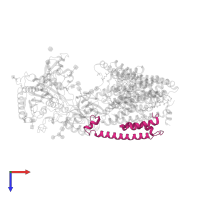Gamma-secretase subunit PEN-2 in PDB entry 6idf, assembly 1, top view.