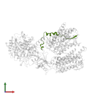 Notch 1 intracellular domain in PDB entry 6idf, assembly 1, front view.