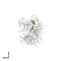 Notch 1 intracellular domain in PDB entry 6idf, assembly 1, side view.