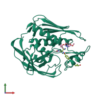 PDB entry 6ih0 coloured by chain, front view.