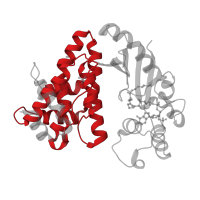 The deposited structure of PDB entry 6iix contains 1 copy of Pfam domain PF18082 (N-acyltransferase N-terminal domain) in Acyltransferase. Showing 1 copy in chain A.