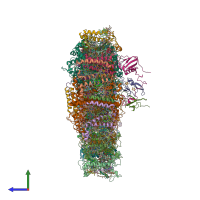 PDB entry 6ijo coloured by chain, side view.