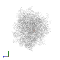 Small ribosomal subunit protein eS21 in PDB entry 6ip5, assembly 1, side view.