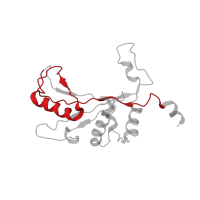 The deposited structure of PDB entry 6ip8 contains 1 copy of Pfam domain PF00281 (Ribosomal protein L5) in Large ribosomal subunit protein uL5. Showing 1 copy in chain M [auth 2E].