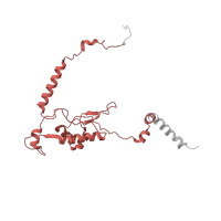 The deposited structure of PDB entry 6ip8 contains 1 copy of Pfam domain PF01294 (Ribosomal protein L13e) in Large ribosomal subunit protein eL13. Showing 1 copy in chain N [auth 2F].