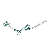 The deposited structure of PDB entry 6ip8 contains 1 copy of Pfam domain PF01280 (Ribosomal protein L19e) in Large ribosomal subunit protein eL19. Showing 1 copy in chain T [auth 2L].