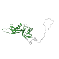 The deposited structure of PDB entry 6ip8 contains 1 copy of Pfam domain PF01775 (Ribosomal proteins 50S-L18Ae/60S-L20/60S-L18A) in Large ribosomal subunit protein eL20. Showing 1 copy in chain U [auth 2M].