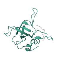 The deposited structure of PDB entry 6ip8 contains 1 copy of Pfam domain PF00238 (Ribosomal protein L14p/L23e) in Large ribosomal subunit protein uL14. Showing 1 copy in chain X [auth 2P].