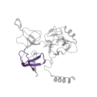 The deposited structure of PDB entry 6ip8 contains 1 copy of Pfam domain PF00467 (KOW motif) in Small ribosomal subunit protein eS4, X isoform. Showing 1 copy in chain XA [auth 2q].