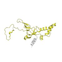 The deposited structure of PDB entry 6ip8 contains 1 copy of Pfam domain PF01201 (Ribosomal protein S8e) in Small ribosomal subunit protein eS8. Showing 1 copy in chain AB [auth 2t].