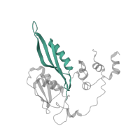 The deposited structure of PDB entry 6ip8 contains 1 copy of Pfam domain PF00333 (Ribosomal protein S5, N-terminal domain) in Small ribosomal subunit protein uS5. Showing 1 copy in chain PB [auth 3G].