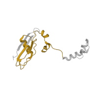 The deposited structure of PDB entry 6ip8 contains 1 copy of Pfam domain PF01282 (Ribosomal protein S24e) in Small ribosomal subunit protein eS24. Showing 1 copy in chain WB [auth 3N].