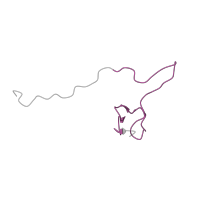 The deposited structure of PDB entry 6ip8 contains 1 copy of Pfam domain PF01599 (Ribosomal protein S27a) in Ubiquitin-ribosomal protein eS31 fusion protein. Showing 1 copy in chain AC [auth 3R].