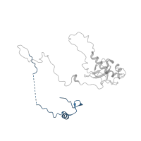 The deposited structure of PDB entry 6ip8 contains 1 copy of Pfam domain PF03868 (Ribosomal protein L6, N-terminal domain) in Large ribosomal subunit protein eL6. Showing 1 copy in chain H [auth 1H].