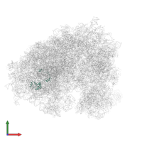 Large ribosomal subunit protein uL15 in PDB entry 6ip8, assembly 1, front view.