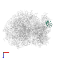 Small ribosomal subunit protein RACK1 in PDB entry 6ip8, assembly 1, top view.