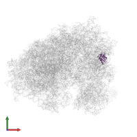 Small ribosomal subunit protein uS8 in PDB entry 6ip8, assembly 1, front view.