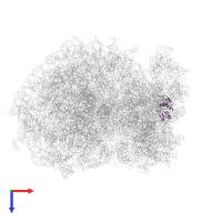 Small ribosomal subunit protein uS8 in PDB entry 6ip8, assembly 1, top view.