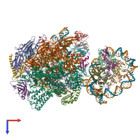 PDB entry 6ir9 coloured by chain, top view.