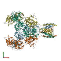 PDB entry 6ira coloured by chain, front view.
