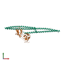 PDB entry 6ird coloured by chain, front view.