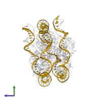 DNA (167-MER) in PDB entry 6iro, assembly 1, side view.