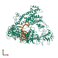 PDB entry 6iv6 coloured by chain, front view.