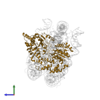 Transcription regulatory protein SNF2 in PDB entry 6iy2, assembly 1, side view.